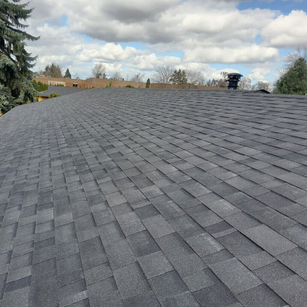 roof-moss-removal roof replacement Salem Oregon